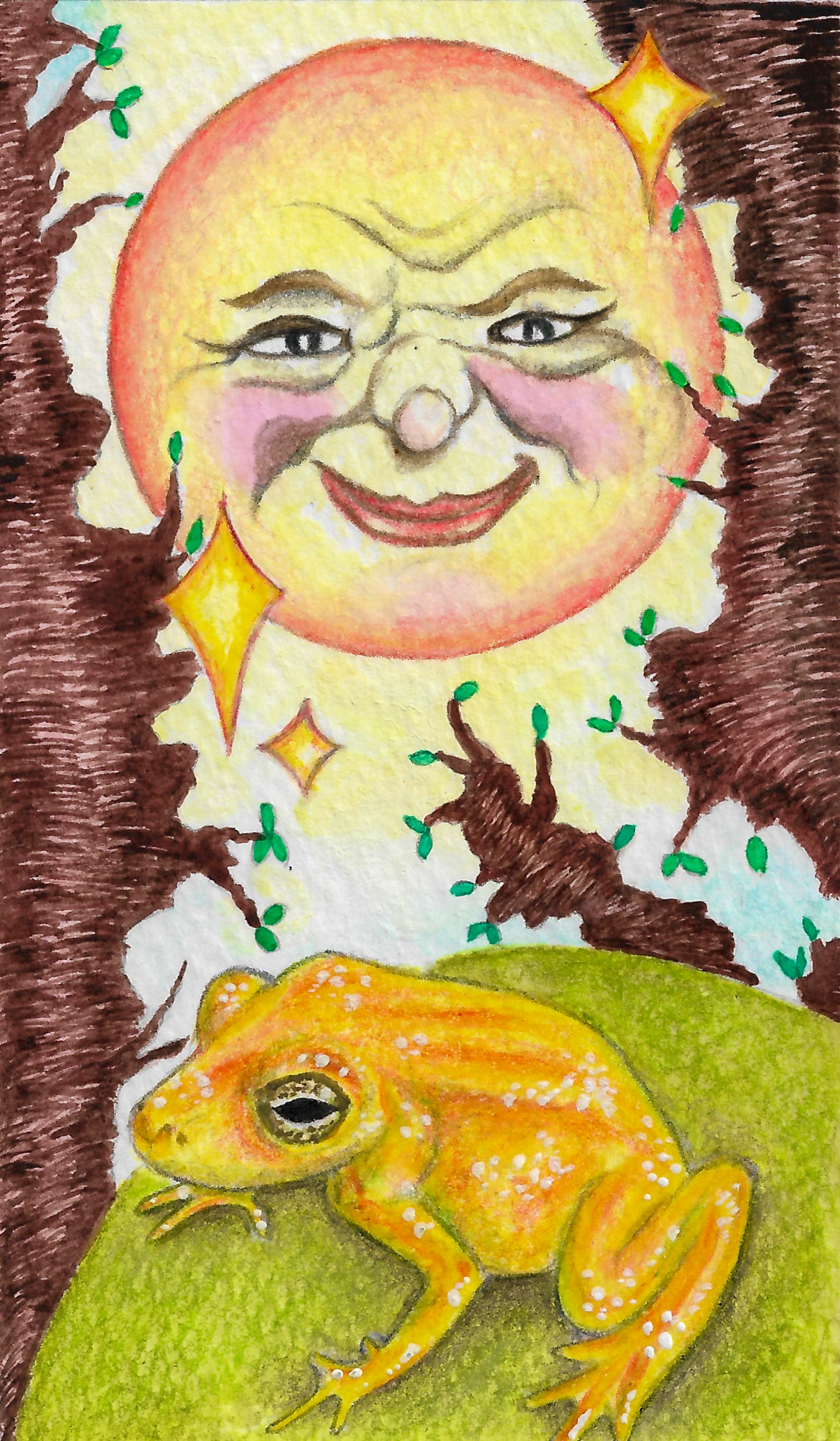waterpaint/colour pencil illustration of a sun along with a golden frog